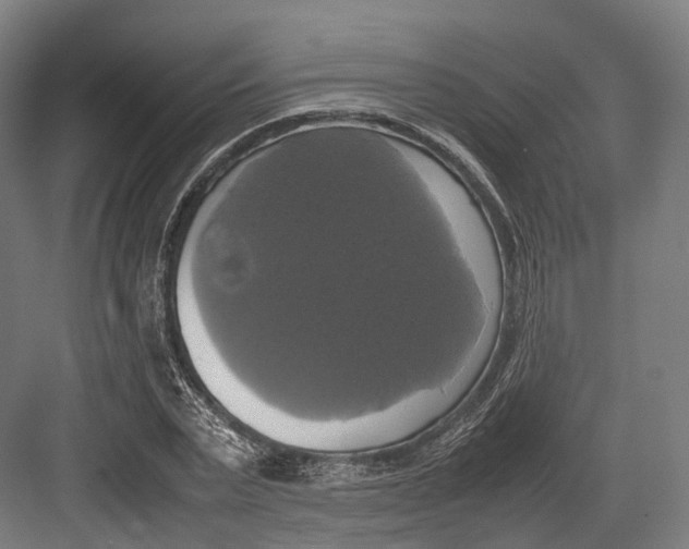 X0000082690783200702161723