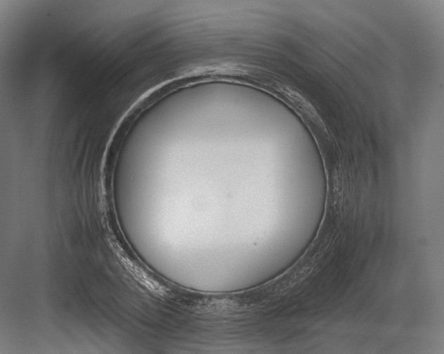 X0000082690784200702161723