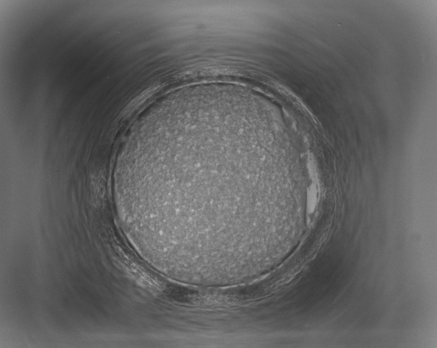 X0000082690785200702161723