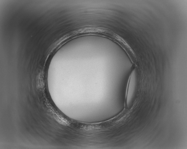 X0000082690786200702161723