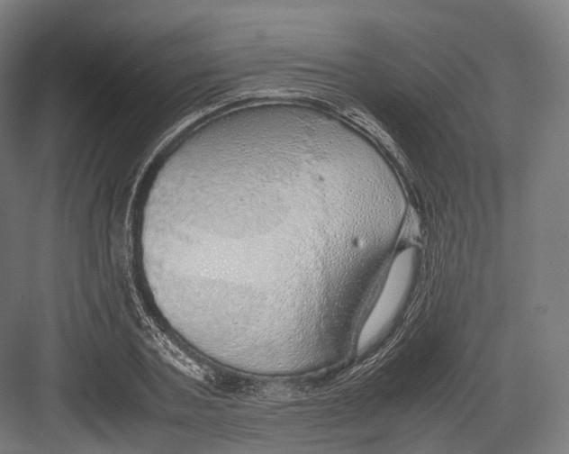 X0000082690787200702161723