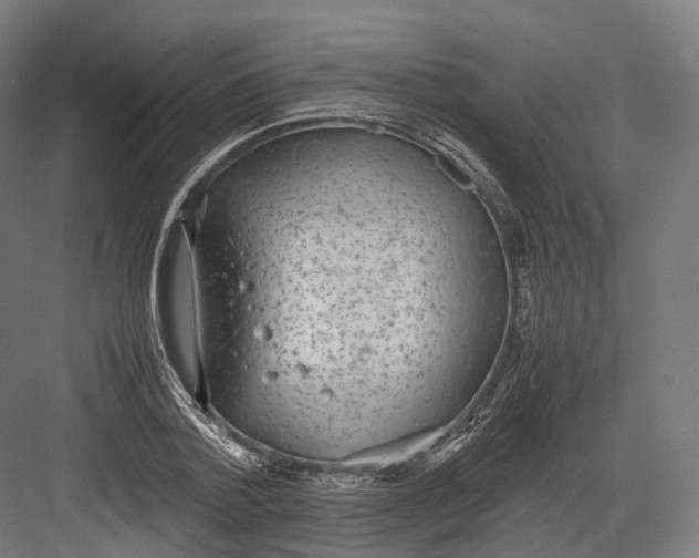 X0000082690788200702161723