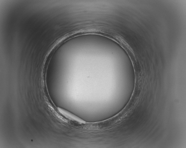 X0000082690789200702161723