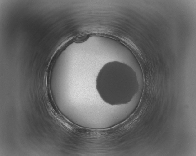 X0000082690790200702161723