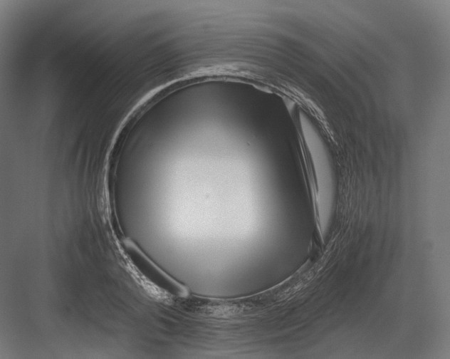 X0000082690792200702161723