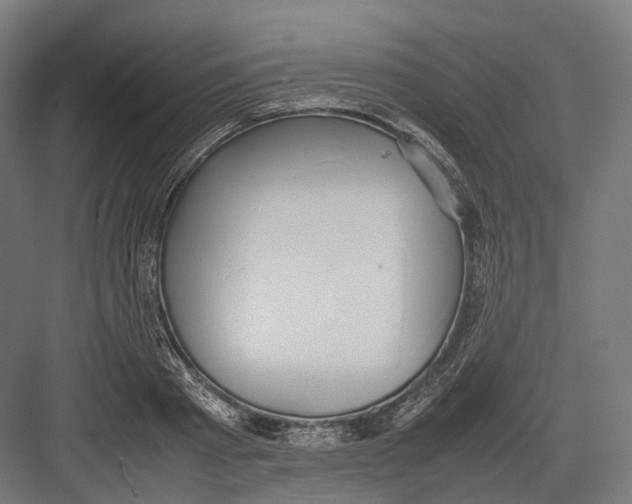 X0000082690793200702161723