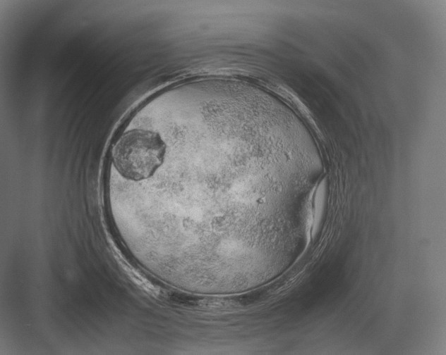 X0000082690795200702161723