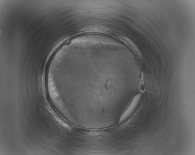 X0000082690796200702161723