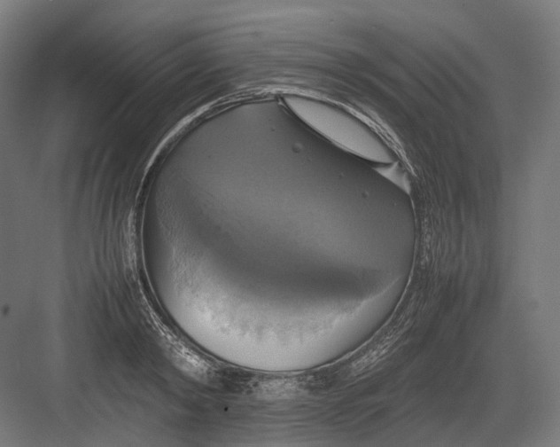 X0000082690798200702161723