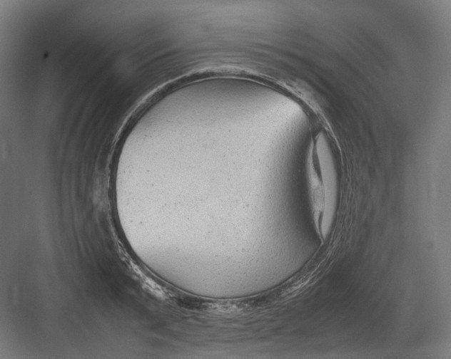 X0000082690799200702161723