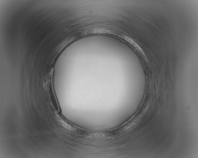 X0000082690801200702161722