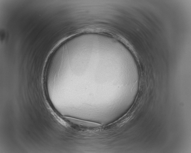 X0000082690803200702161722