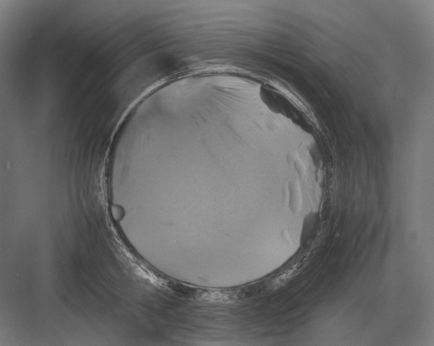 X0000082690806200702161722