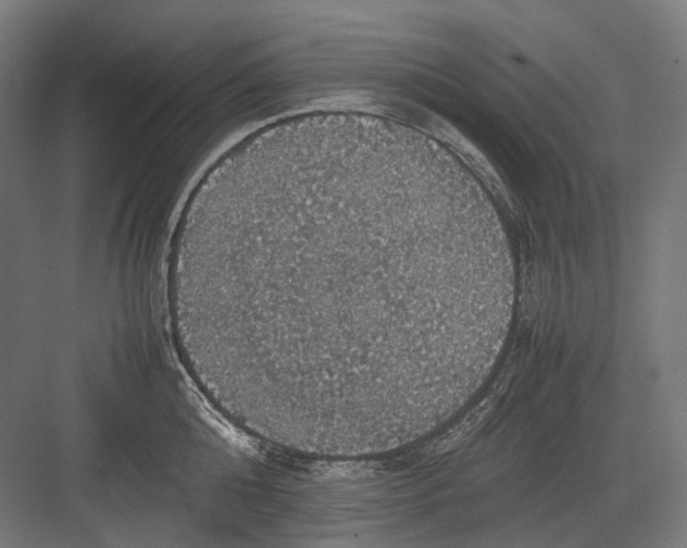 X0000082690808200702161722