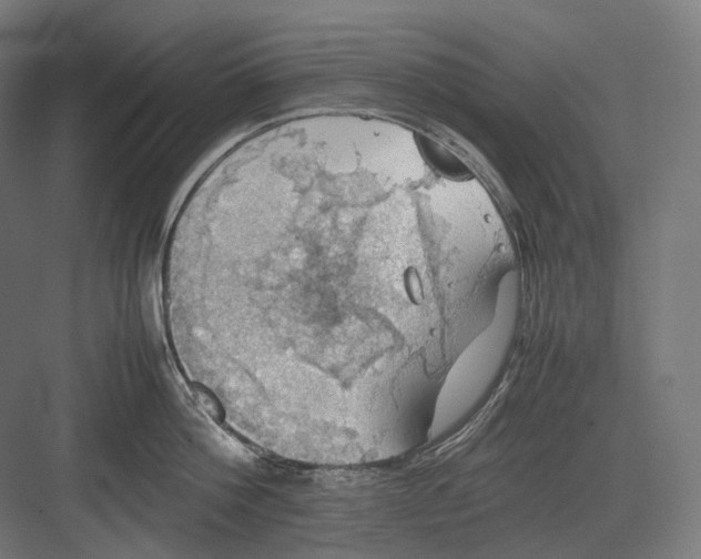 X0000082690812200702161722