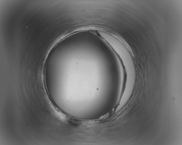 X0000082690813200702161722