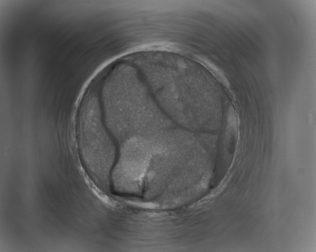 X0000082690816200702161722