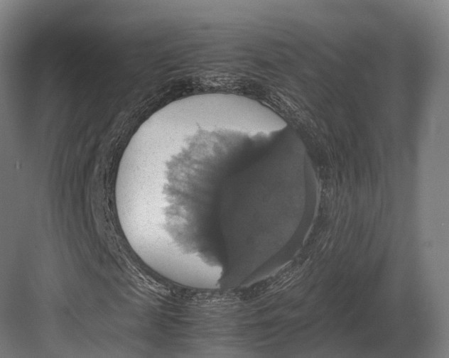 X0000082690817200702161721