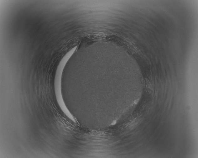 X0000082690818200702161721