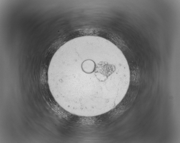 X0000082690820200702161721