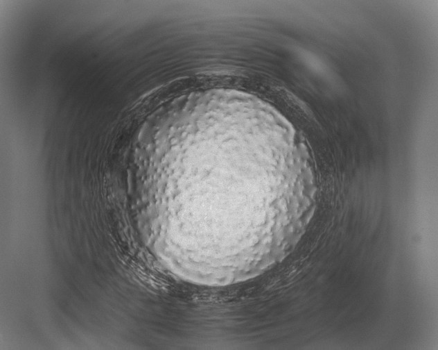 X0000082690821200702161721