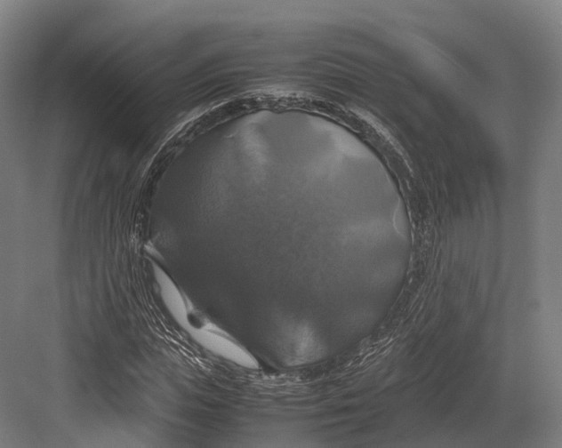 X0000082690823200702161722