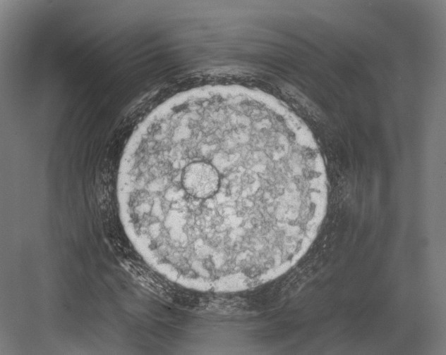 X0000082690824200702161722