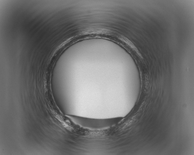 X0000082690826200702161722