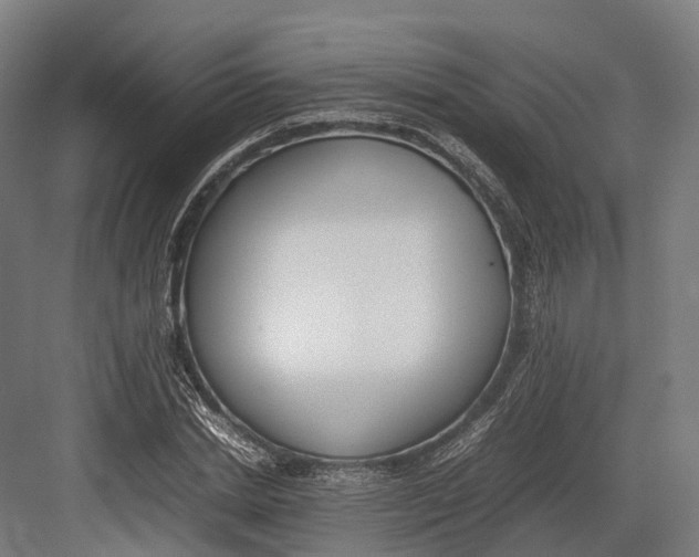 X0000082690830200702161722