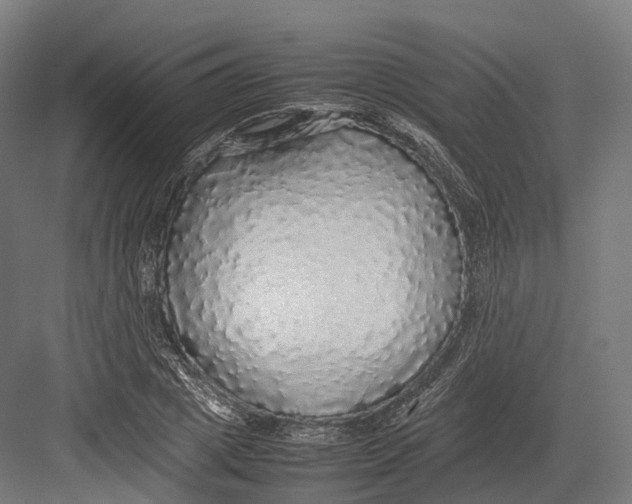 X0000082690833200702161722