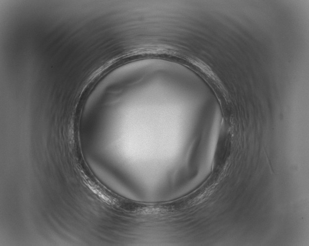 X0000082690834200702161722