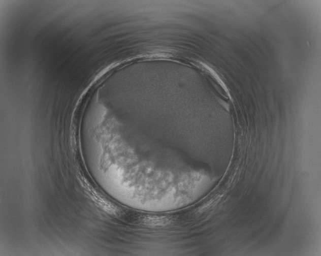 X0000082690835200702161722