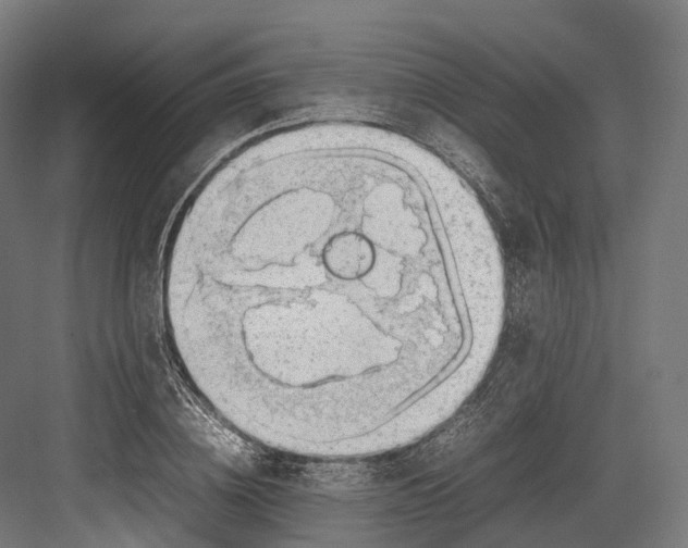 X0000082690836200702161722