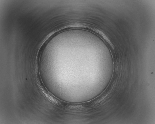 X0000082690837200702161722