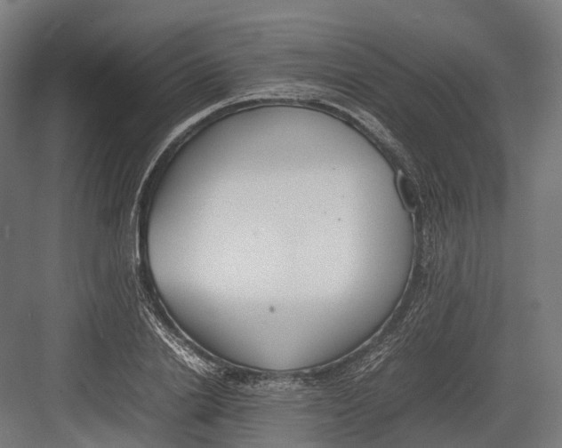 X0000082690838200702161722