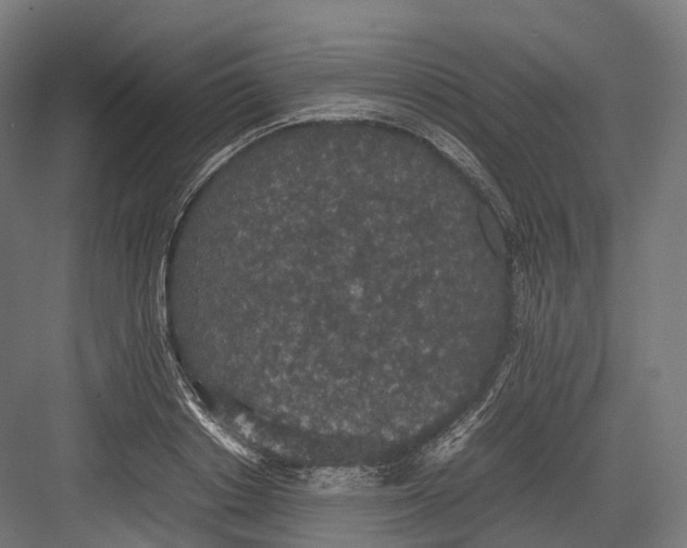 X0000082690842200702161722