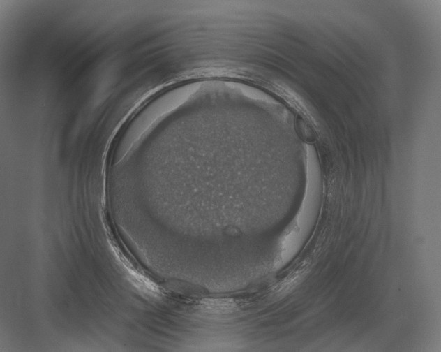 X0000082690844200702161722