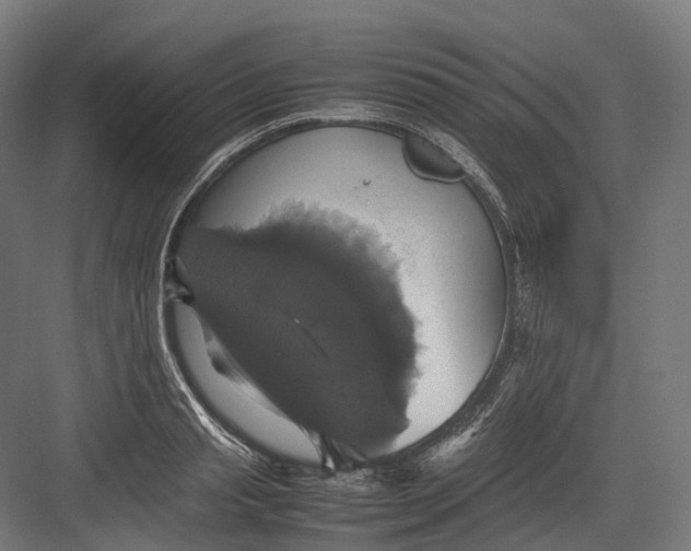 X0000082690845200702161722