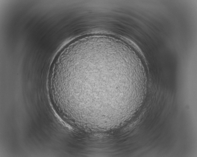 X0000082690847200702161722