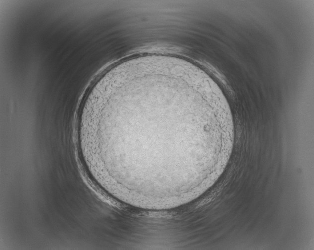 X0000082690848200702161722