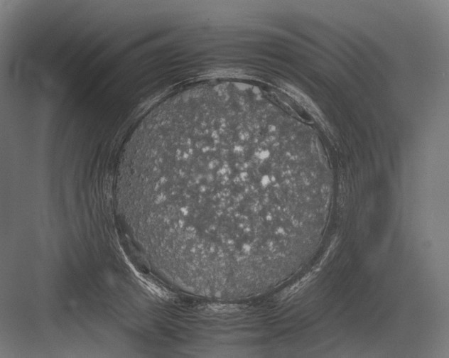 X0000082690849200702161722