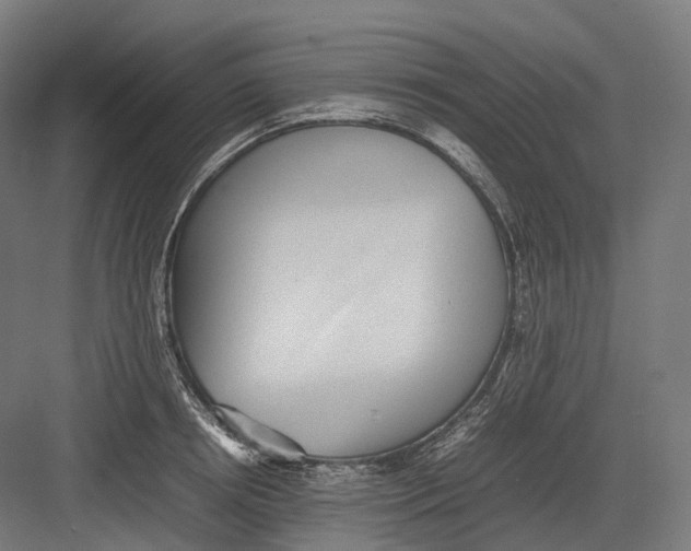 X0000082690850200702161722