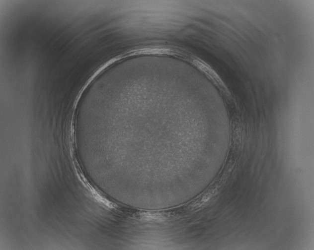 X0000082690852200702161722