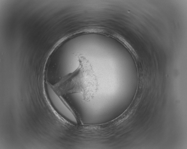 X0000082690853200702161722