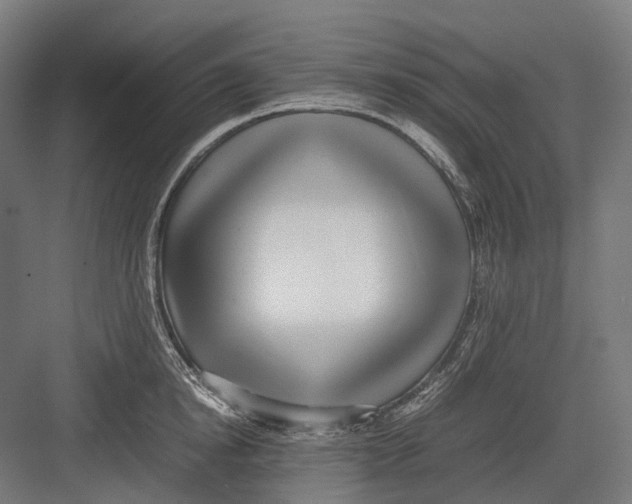 X0000082690854200702161722