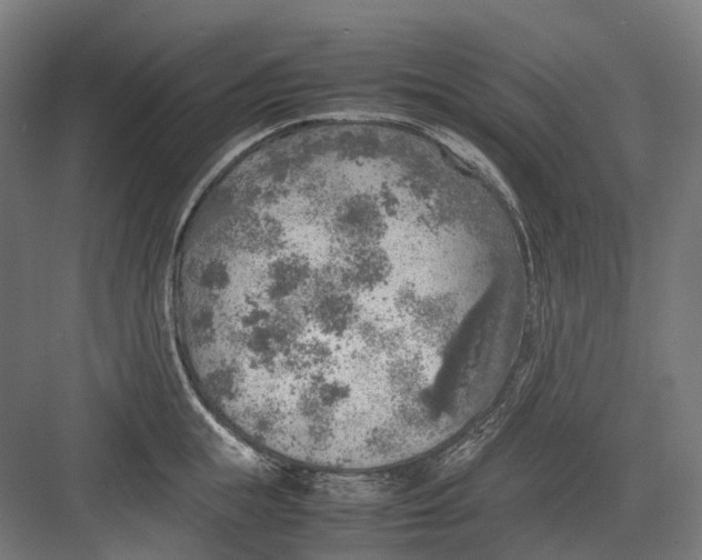 X0000082690855200702161722