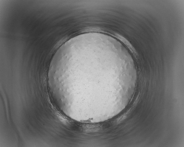 X0000082690857200702161722