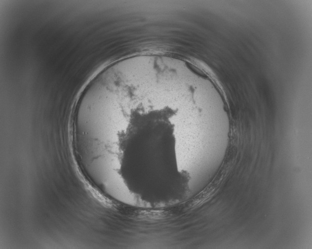 X0000082690859200702161722