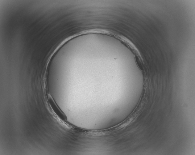 X0000082690860200702161722