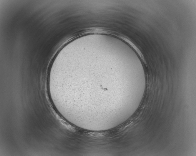 X0000082690861200702161722